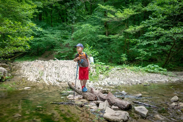 Boy Traveler Backpack Trekking Sticks Passes Stream Log — Stock Photo, Image