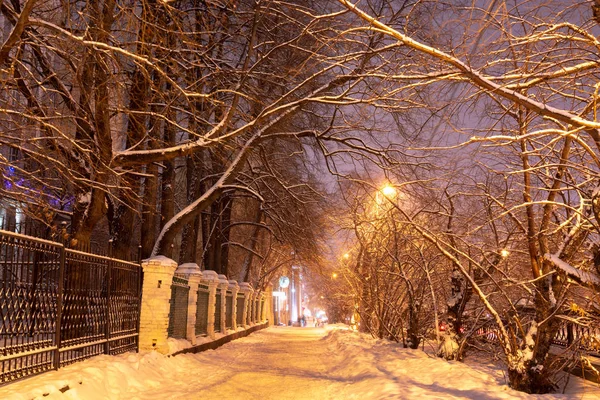Городской Переулок Старым Забором Зимнюю Ночь Голые Ветви Деревьев Листьев — стоковое фото
