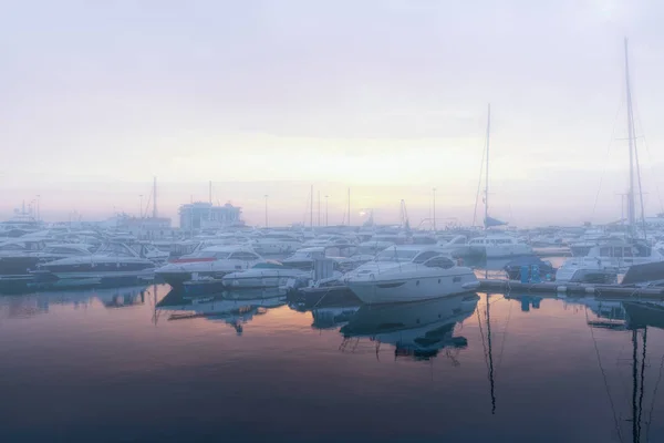 Восход Солнца Морской Гавани Пришвартованными Яхтами Яхты Гавани Утреннем Тумане — стоковое фото