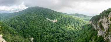 Kalın yeşil yaprak döken orman yüksek bir tepenin yamacında. Kar dağlar ufukta görünür şapkalı. Kalker uçurum. Kartal kayalar, Sochi, Rusya Federasyonu