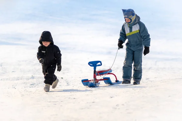 Due ragazzi, 8 e 4 anni, vanno con le slitte sulla neve bianca pura . — Foto Stock