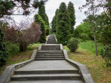 Yeşil kent parkta adımlarla yol