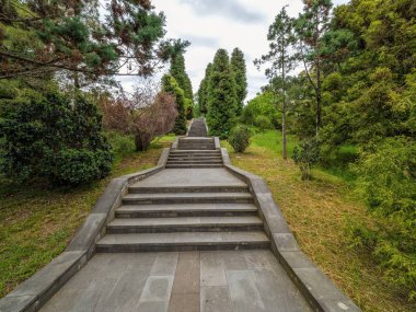 Yeşil kent parkta adımlarla yol