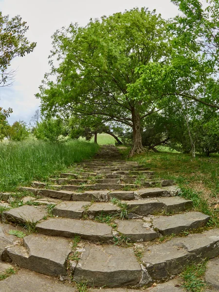 Old steps in the green park.