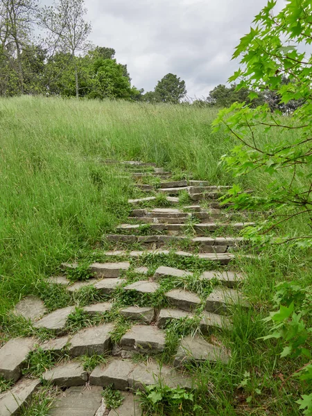 Old steps in the green park.