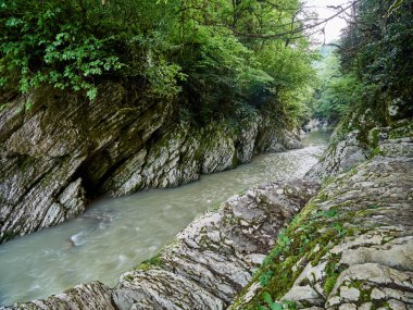 Kayalıklarla üstündeki yeşil orman ile arasında bir geçit nehirde dağ