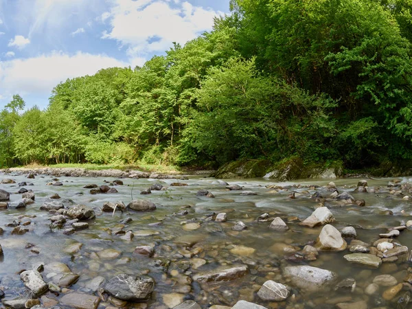 Taşlı dağ dere kıyısında kalın yeşil orman ile