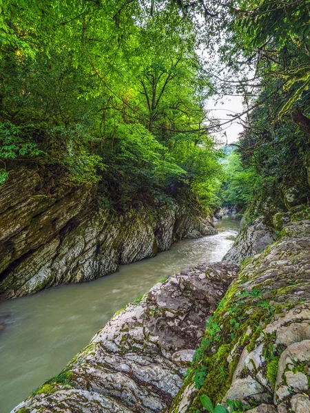Kayalıklarla üstündeki yeşil orman ile arasında bir geçit nehirde dağ