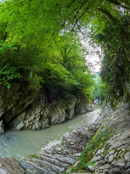 Kayalıklarla üstündeki yeşil orman ile arasında bir geçit nehirde dağ