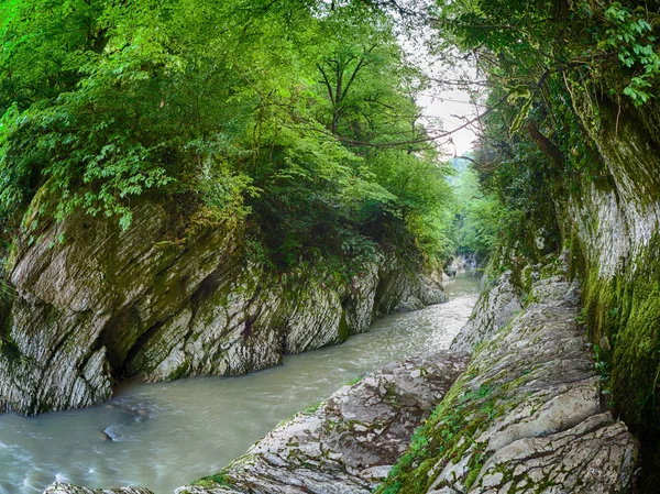 Kayalıklarla üstündeki yeşil orman ile arasında bir geçit nehirde dağ