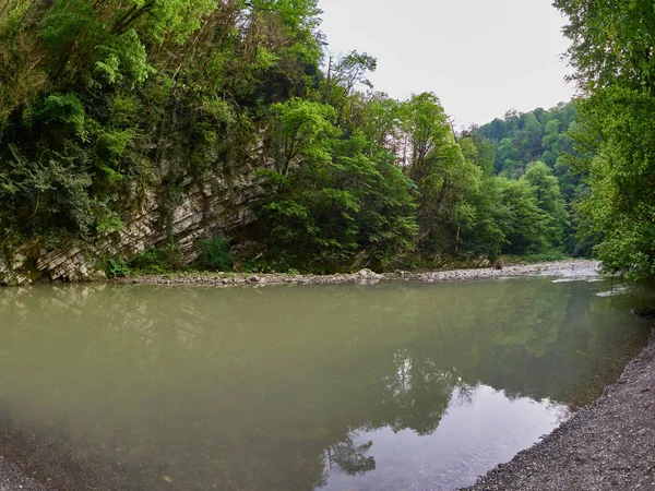 Uçurumlar ile turkuaz su ile bir dağ nehir kıyısında yeşil orman