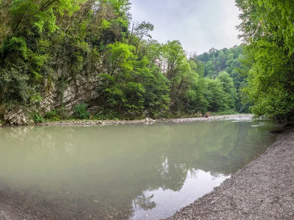 Uçurumlar ile turkuaz su ile bir dağ nehir kıyısında yeşil orman