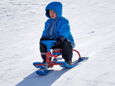 Kış kızak çocukta dağda rides