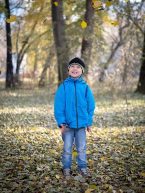 mutlu çocuk atar yaprakları sonbaharda Park