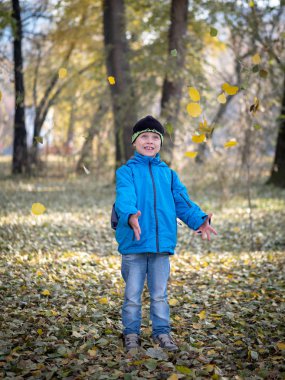 mutlu çocuk atar yaprakları sonbaharda Park