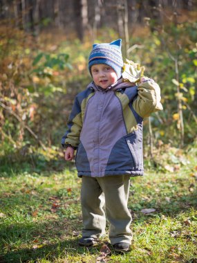 Küçük bir çocuk atar yaprakları sonbahar Park