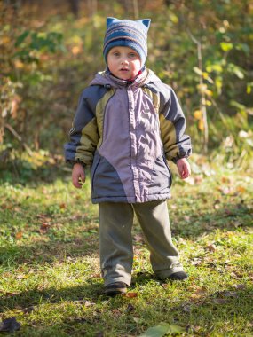 Küçük bir çocuk sonbahar ormanda standları