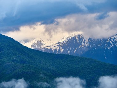 Yüksek karlı dağlar zemin üzerine yeşil orman.