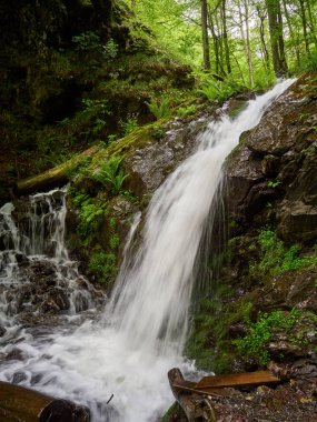 Güçlü creek bahar ormandaki bir şelale. Bahar dağlar.