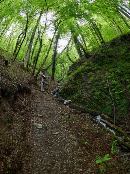 Bir kız bir sırt çantası ile bahar orman dağda tırmanıyor.