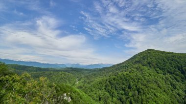 Yeşil Vadi güç hatları ile kalın ormanda. Kar dağlar ufukta görünür şapkalı