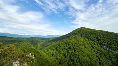 Yeşil Vadi güç hatları ile kalın ormanda. Kar dağlar ufukta görünür şapkalı