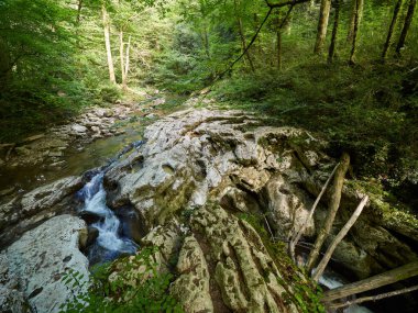 Dağ nehir uçuruma kalın yeşil orman ile boğaz içine akar. Dağ nehir, şelale.