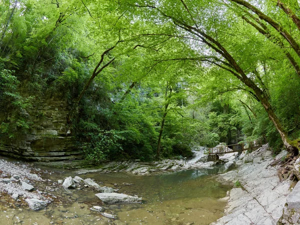 De rivier van de berg in de rotsachtige kloof is omgeven door een groen bos. — Stockfoto