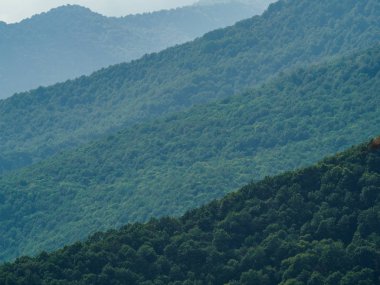 Dağın üzerinde yeşil orman uzakta aydınlatma nedeniyle katmanlar halinde uzanır.