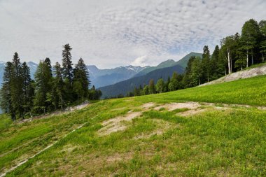 Yaz aylarında kayak pisti. Dağlarda yaz.