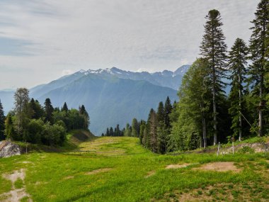 Yaz aylarında kayak pisti. Dağlarda yaz.