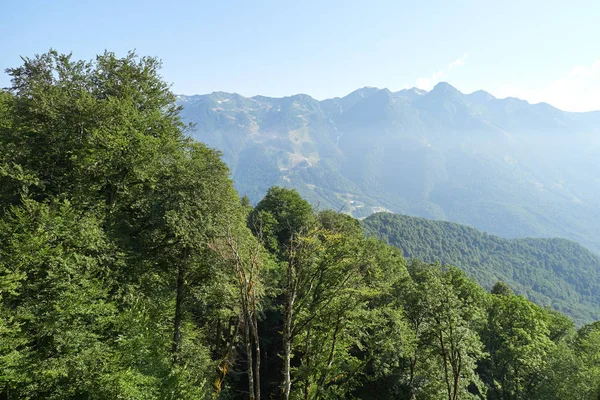 Cordillera con las laderas verdes en un día claro de verano — Foto de Stock
