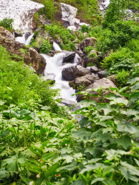 Un puissant ruisseau de montagne coule des rochers et des pierres . — Photo