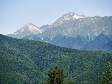 Yüksek dağlar karlı zirveleri ile yeşil yamaçları ile. Kar ve yaz aylarında dağ yamaçlarında yeşil çimen.
