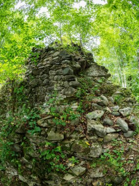 Yoğun bir yeşil orman eski bir taş kale kalıntıları