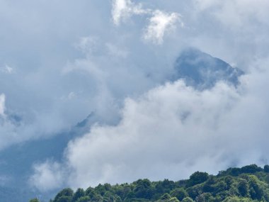 Ağır Sis bulutlu bir günde dağlarda. Yeşil ile yüksek dağ yamaçlarında gizli bulutlar ve sis.