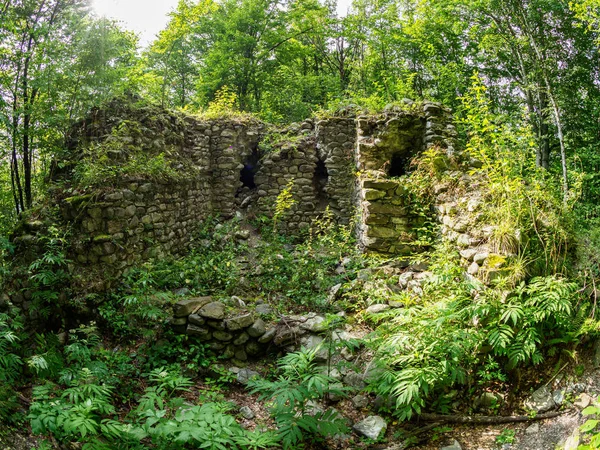 Les ruines d'une ancienne forteresse de pierre dans une forêt dense et verte — Photo