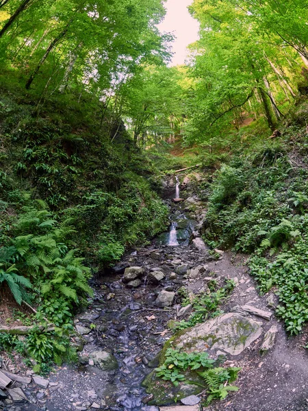 Steiniger Bach im Sommerwald. Wasserfall im Wald. — Stockfoto