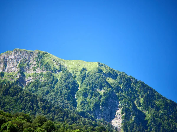 La cima di un'alta montagna ricoperta da una foresta contro un cielo blu brillante . — Foto Stock