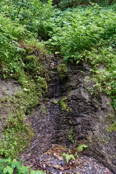 Small streams of water flow down the moss-covered slope.