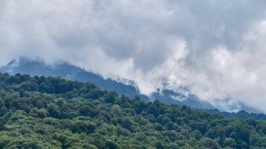 Yeşil ile yüksek dağ yamaçlarında gizli bulutlar ve sis.