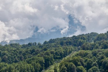 Yeşil ile yüksek dağ yamaçlarında gizli bulutlar ve sis.