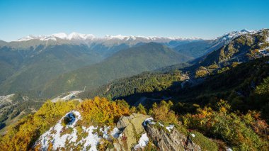 Yüksek dağ kayak pistinde yeşil ve sarı ağaçlar