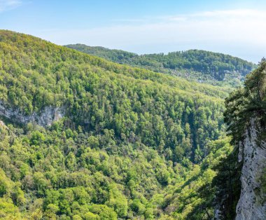 Bir dik kayalık yamaç ve kalın yeşil orman aşağıdaki Vadisi Dağ.