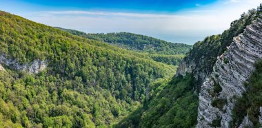 Bir dik kayalık yamaç ve kalın yeşil orman aşağıdaki Vadisi Dağ.