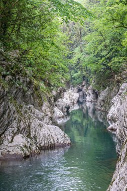 Yamaçlarda yeşil bir orman ile bir taş geçit içinde Dağ nehri.