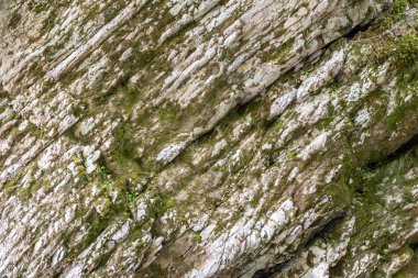 Kireçtaşı taş uçurum yosun ile büyümüş.