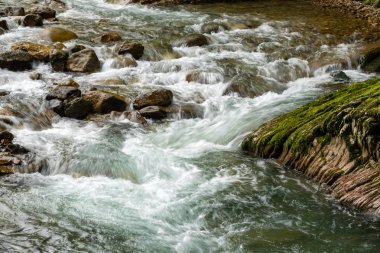 Kayalık kıyıları ile hızlı dağ dere.