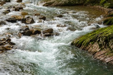 Kayalık kıyıları ile hızlı dağ dere.