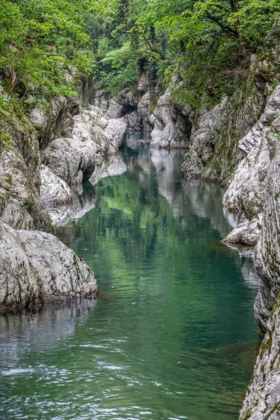 Mountain River i en sten klyfta med en grön skog i backen. — Stockfoto